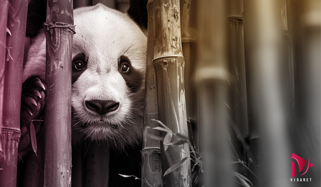 saving wildlife